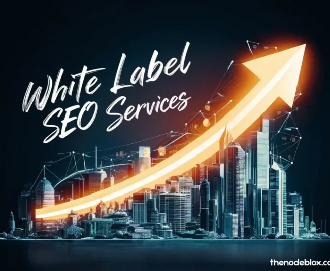 White Label SEO Services in virginia
